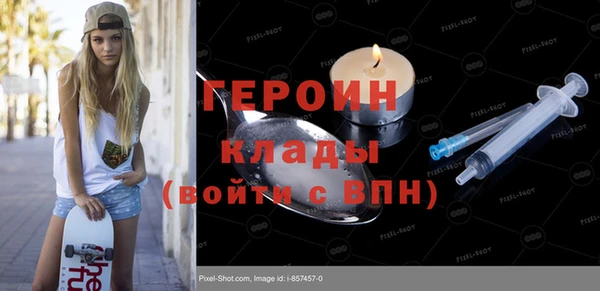 твердый Бородино