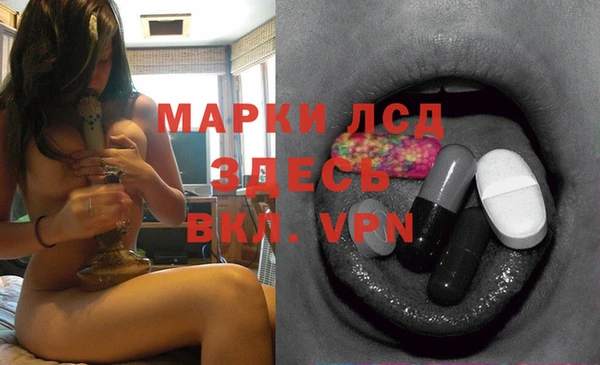 твердый Бородино