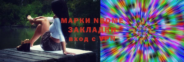 твердый Бородино