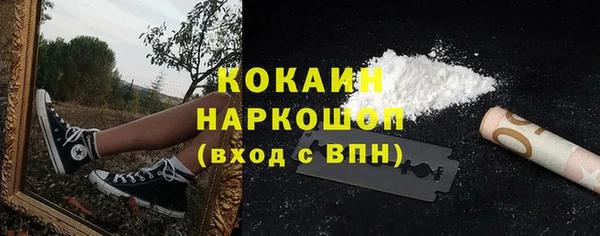 гидропоника Богданович