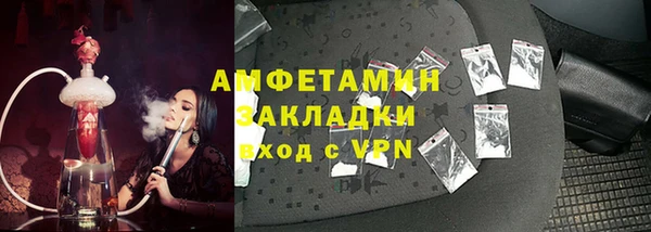 твердый Бородино
