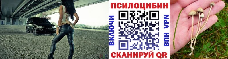 Галлюциногенные грибы прущие грибы  Моздок 